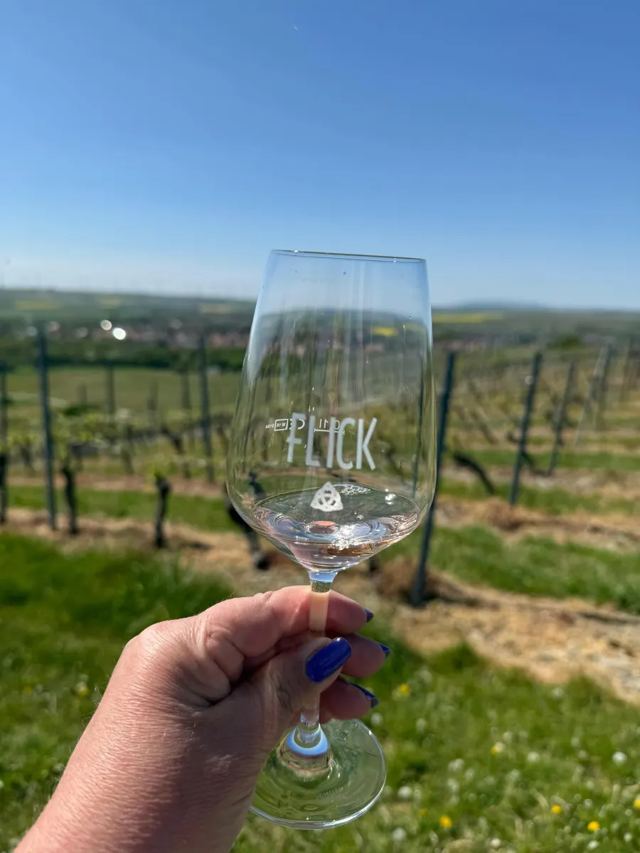 Eine Hand hält ein Weinglas mit Flick-Gravur vor die Rebzeilen eines Weinbergs in Rheinhessen